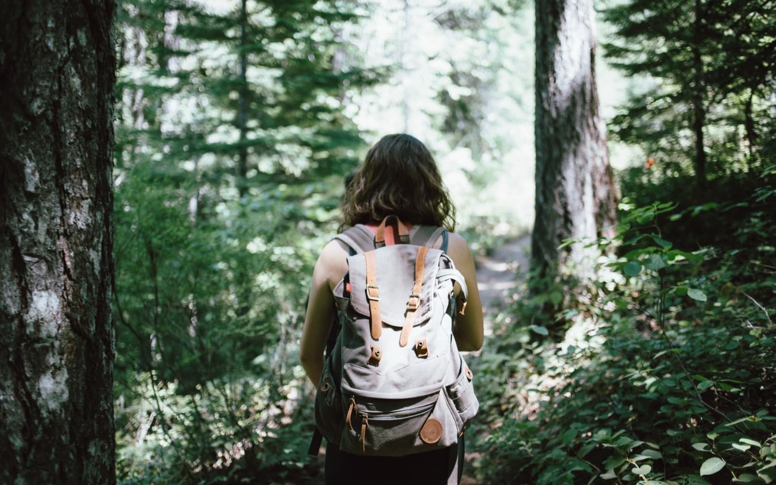 Walker seen from behind on a forest trail, carrying a pale canvas rucksack with leather straps and buckles