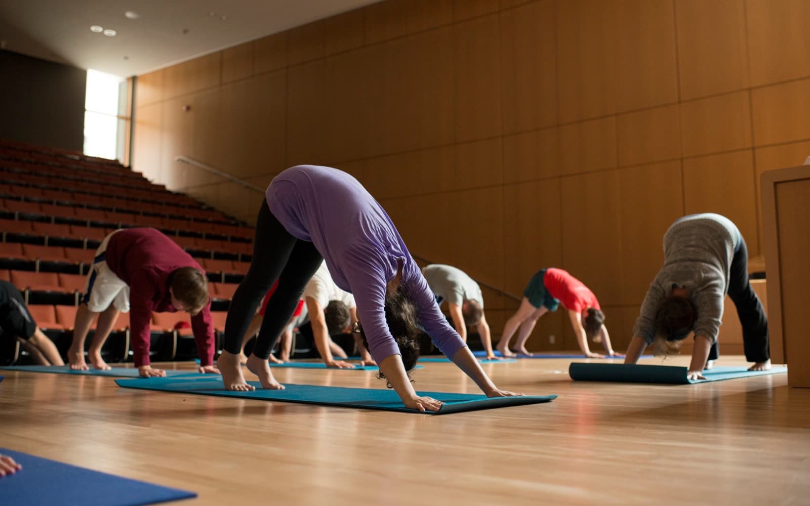 Yoga class in downward dog on blue mats across a wooden hall floor, one navy mat rolled up beside them