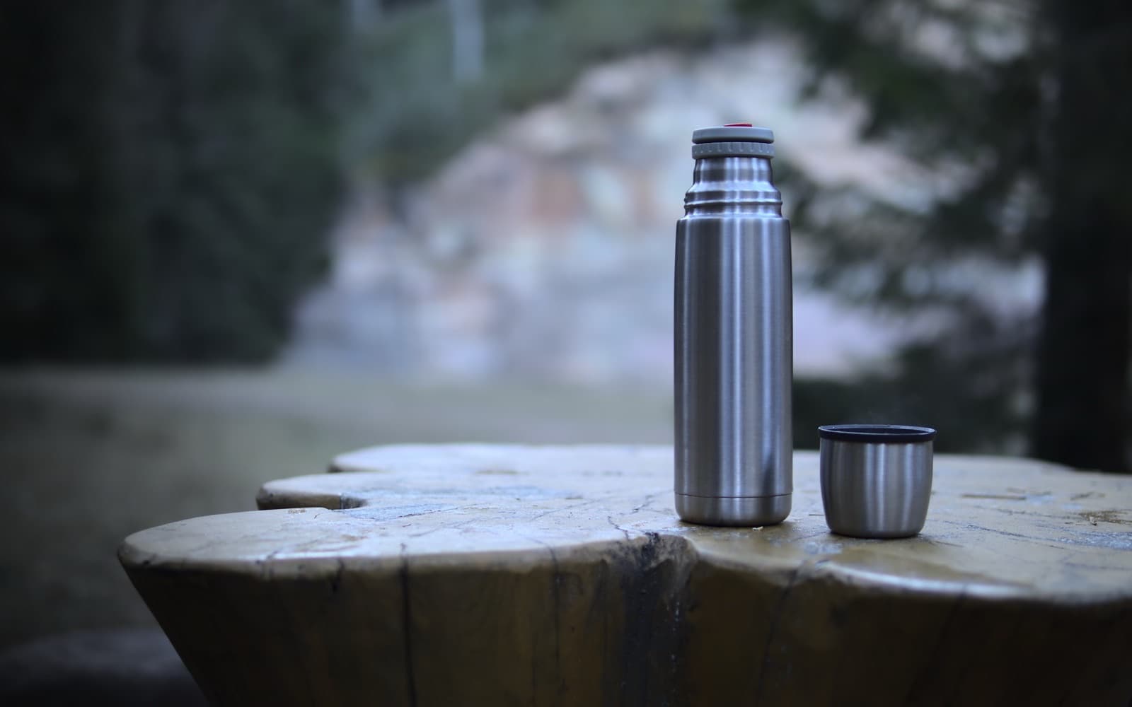 A slim stainless steel vacuum bottle standing beside its unscrewed metal cup on a tree stump in a misty wood
